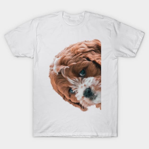 Puppy Peekaboo T-Shirt by Studio-Sy